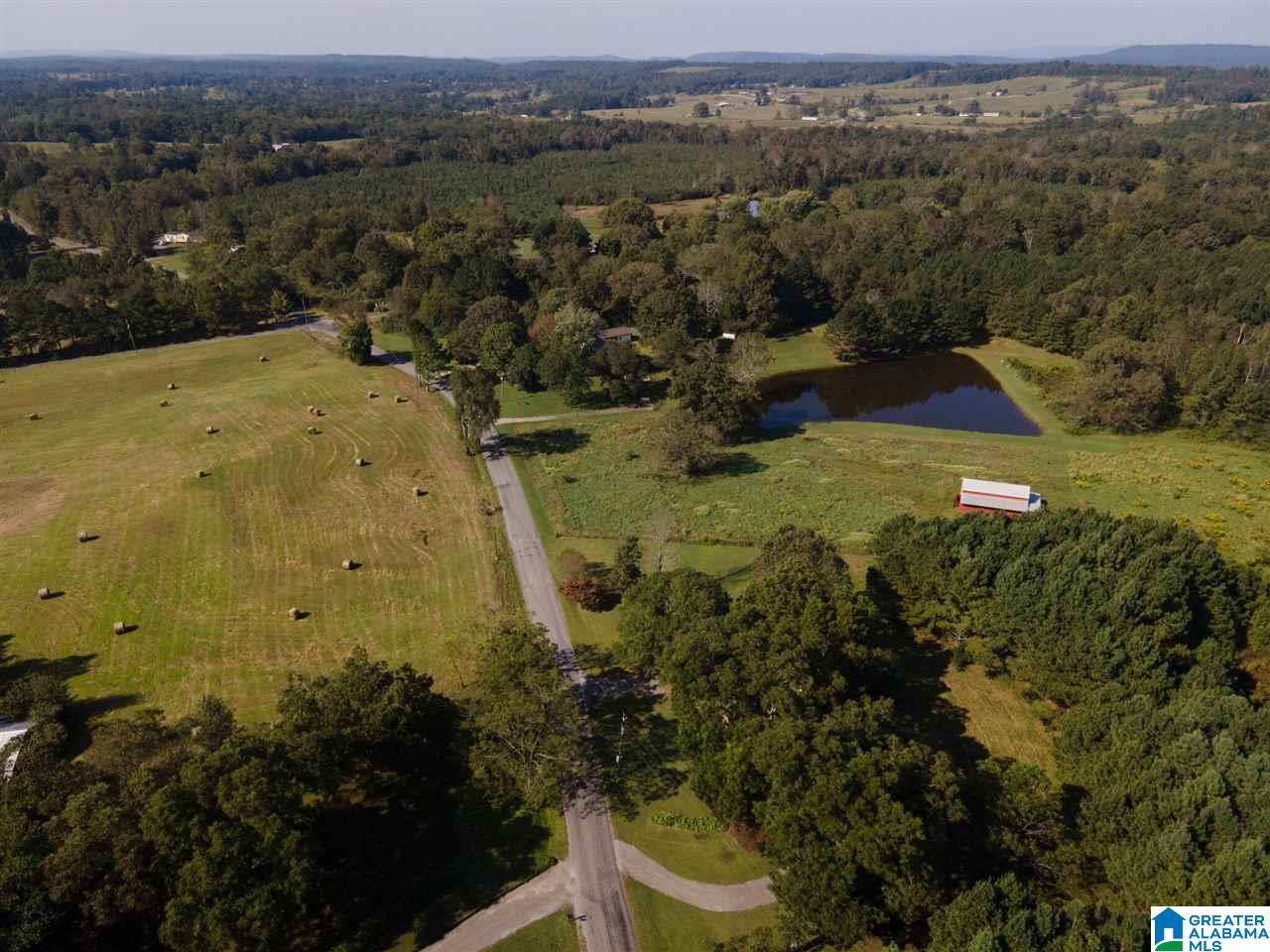 1697 Robin Hill Road Oneonta, AL 35121 - Photo 49 of 50