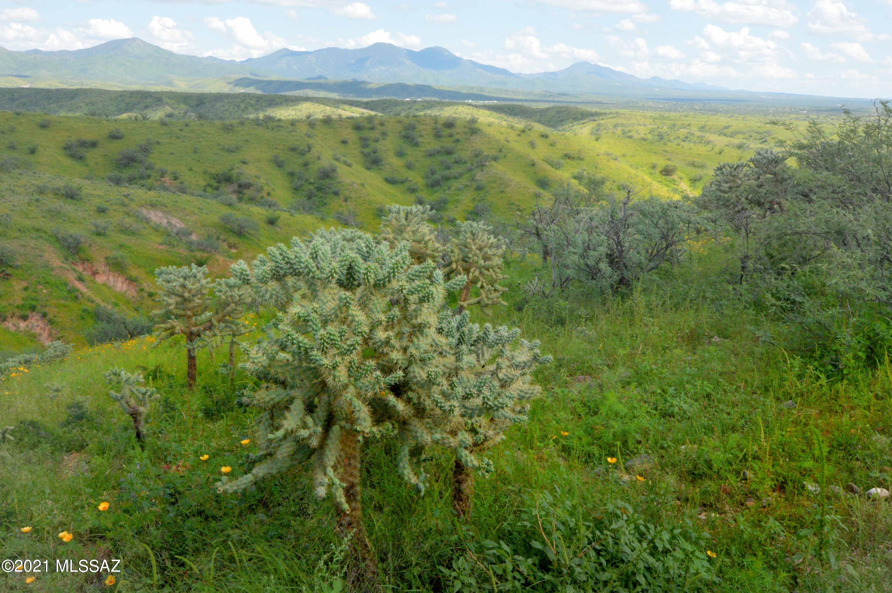 Tbd Sonoita Creek Ranch Road, Unit 86 Nogales, AZ 85621 - Photo 2 of 32