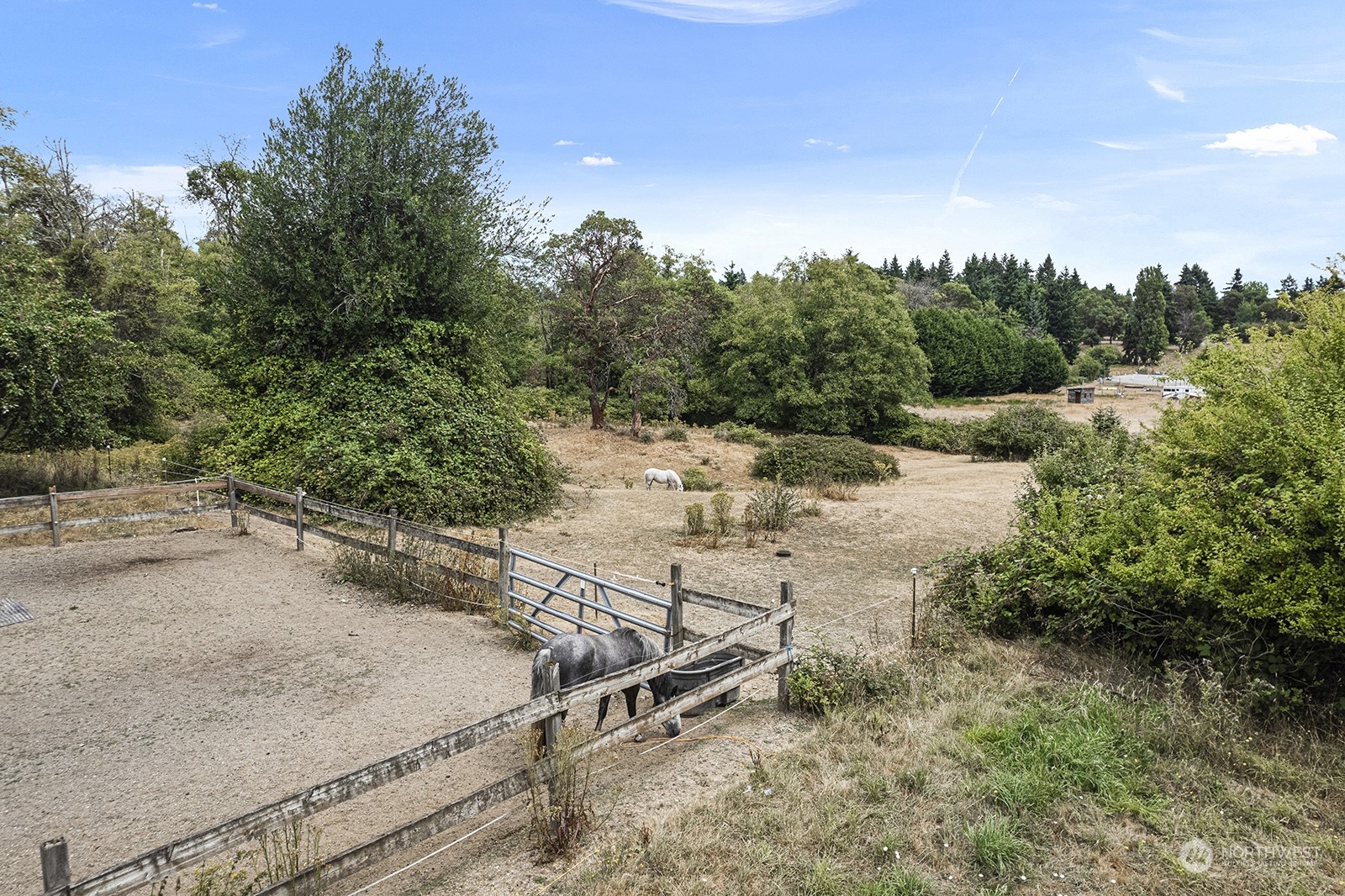 5606 Southwest 244th Street Vashon, WA 98070 - Photo 24 of 40 a view of a dry yard with wooden fence