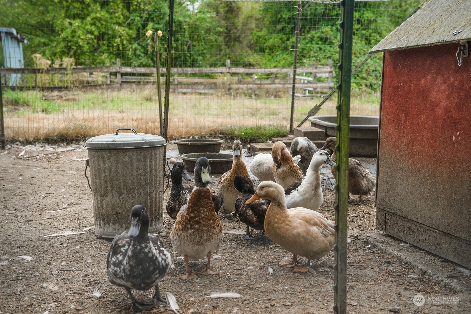 5606 Southwest 244th Street Vashon, WA 98070 - Photo 25 of 40 a view of a backyard with plants and lake view