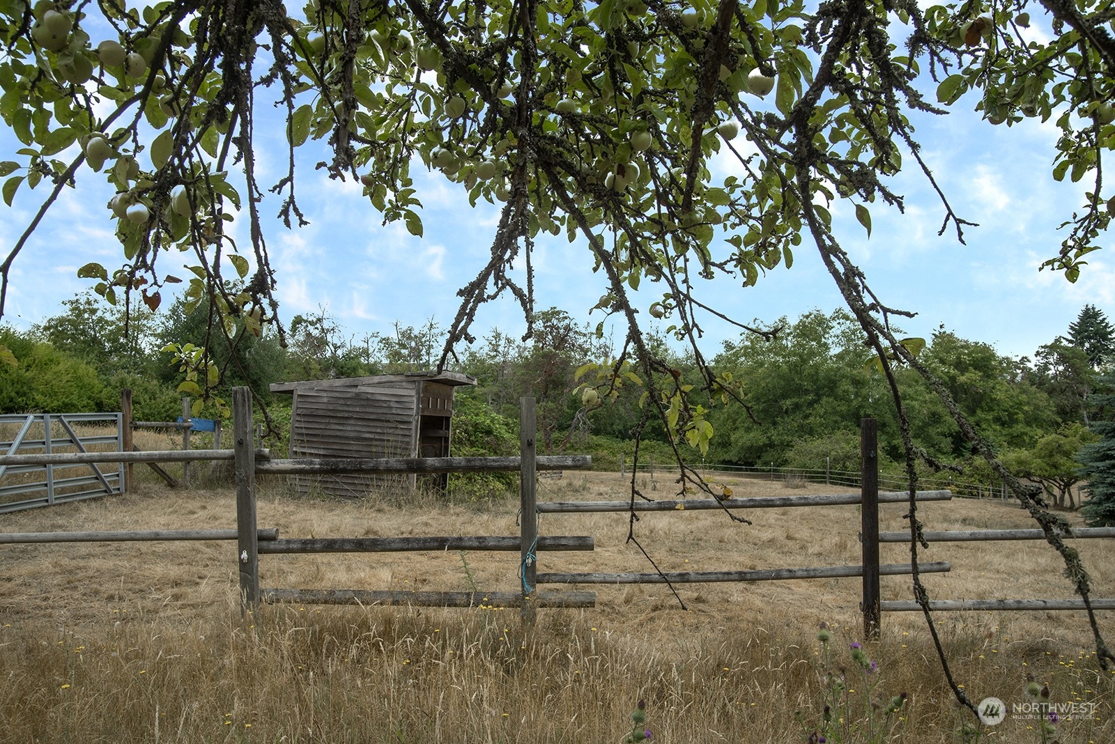 5606 Southwest 244th Street Vashon, WA 98070 - Photo 27 of 40 a view of a street