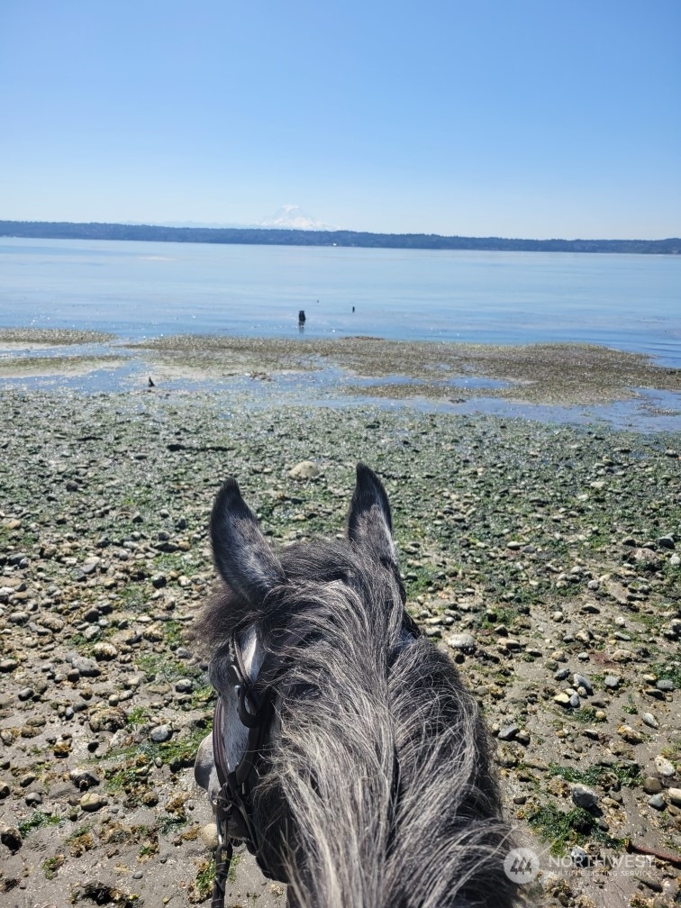5606 Southwest 244th Street Vashon, WA 98070 - Photo 30 of 40 a view of a city