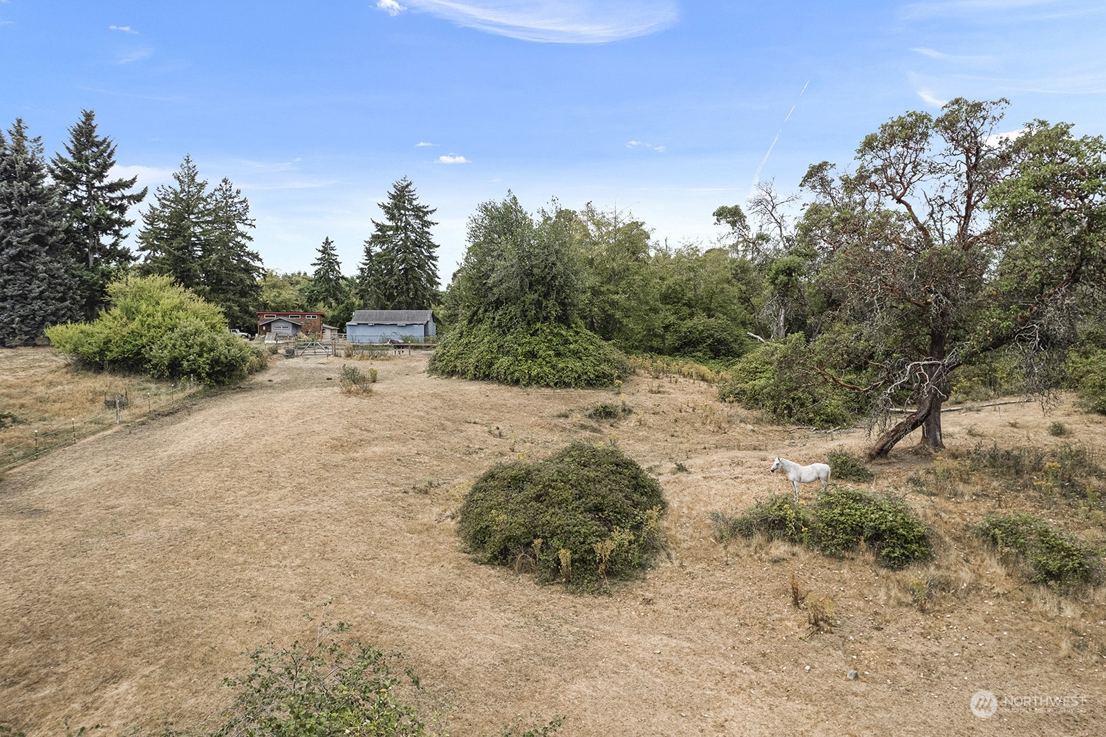 5606 Southwest 244th Street Vashon, WA 98070 - Photo 36 of 40 a view of a dry yard with trees and mountain view
