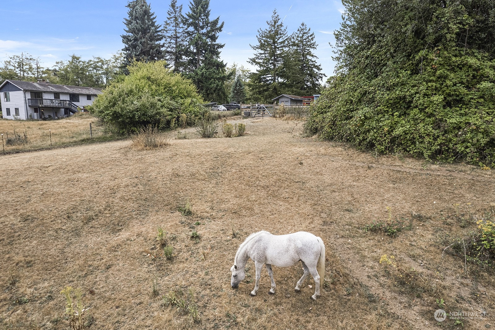 5606 Southwest 244th Street Vashon, WA 98070 - Photo 37 of 40 a view of a backyard of the house