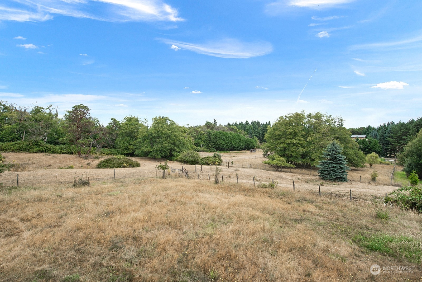 5606 Southwest 244th Street Vashon, WA 98070 - Photo 40 of 40 a view of some with green field and trees