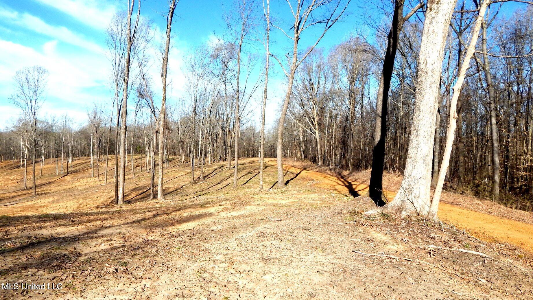 4577 Bluff Road Hernando, MS 38632 - Photo 25 of 57 DSCN6720