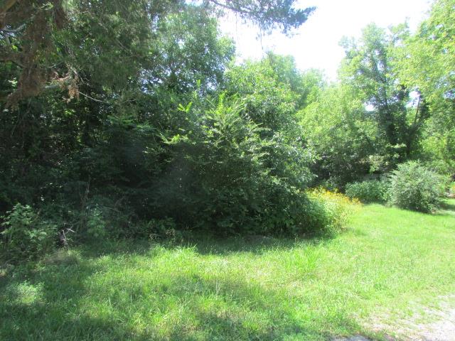 8600 Cobb Road Christiana, TN 37037 - Photo 11 of 23 Gallery Image 11