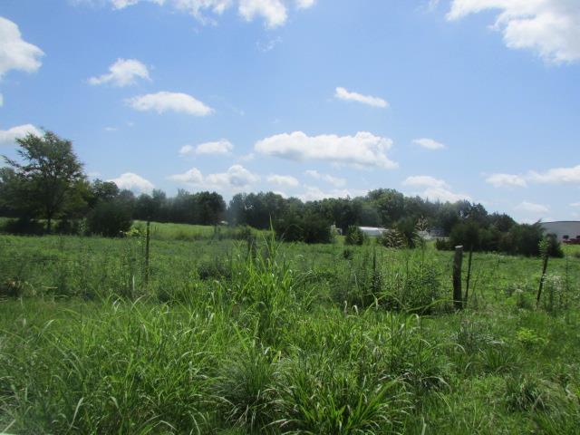 8600 Cobb Road Christiana, TN 37037 - Photo 6 of 23 Gallery Image 6