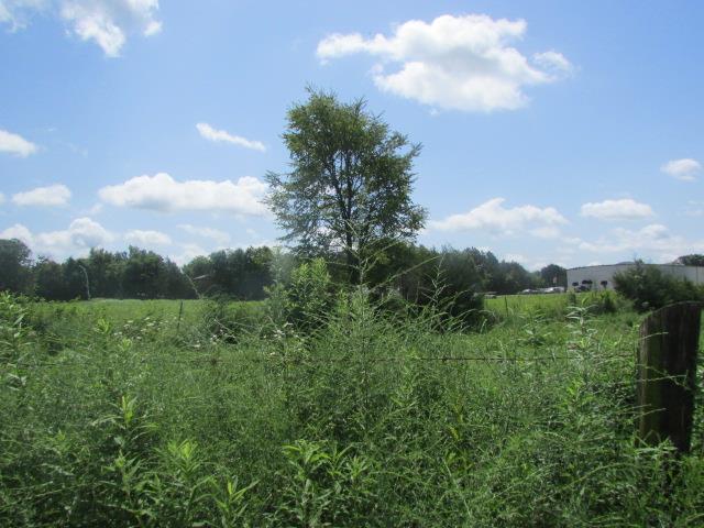 8600 Cobb Road Christiana, TN 37037 - Photo 7 of 23 Gallery Image 7
