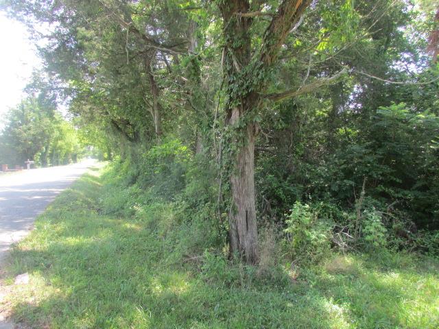 8600 Cobb Road Christiana, TN 37037 - Photo 10 of 23 Gallery Image 10