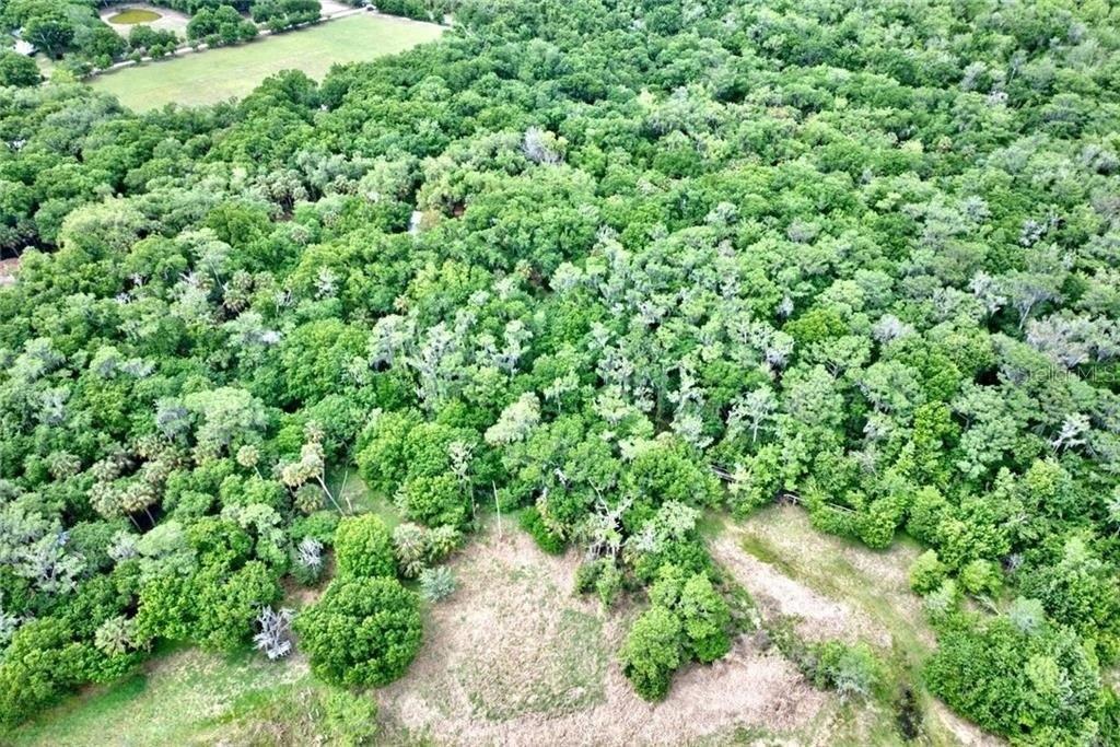 2500 Arbuckle Shores Road Frostproof, FL 33843 - Photo 16 of 17