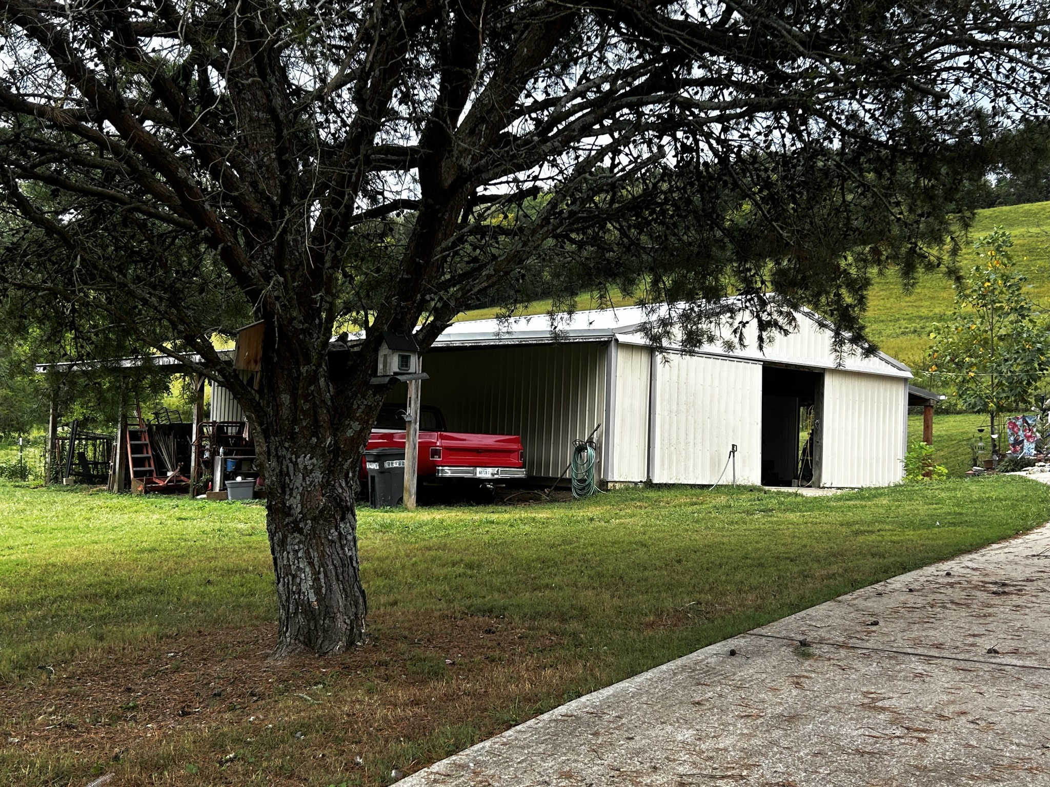 315 Loyd Road Pulaski, TN 38478 - Photo 25 of 73 a view of a tree in front of a white house
