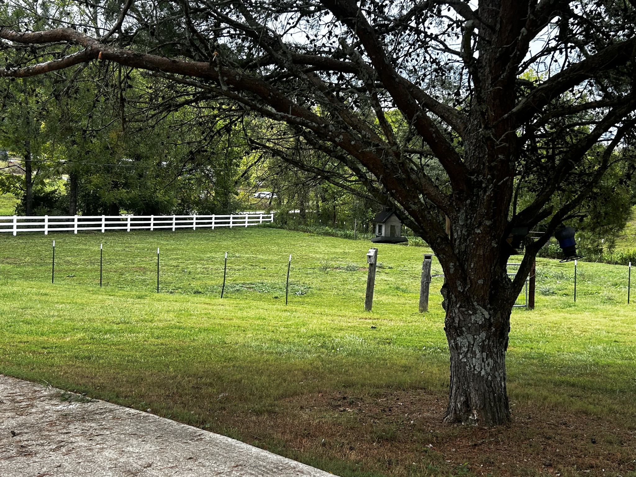 315 Loyd Road Pulaski, TN 38478 - Photo 27 of 73