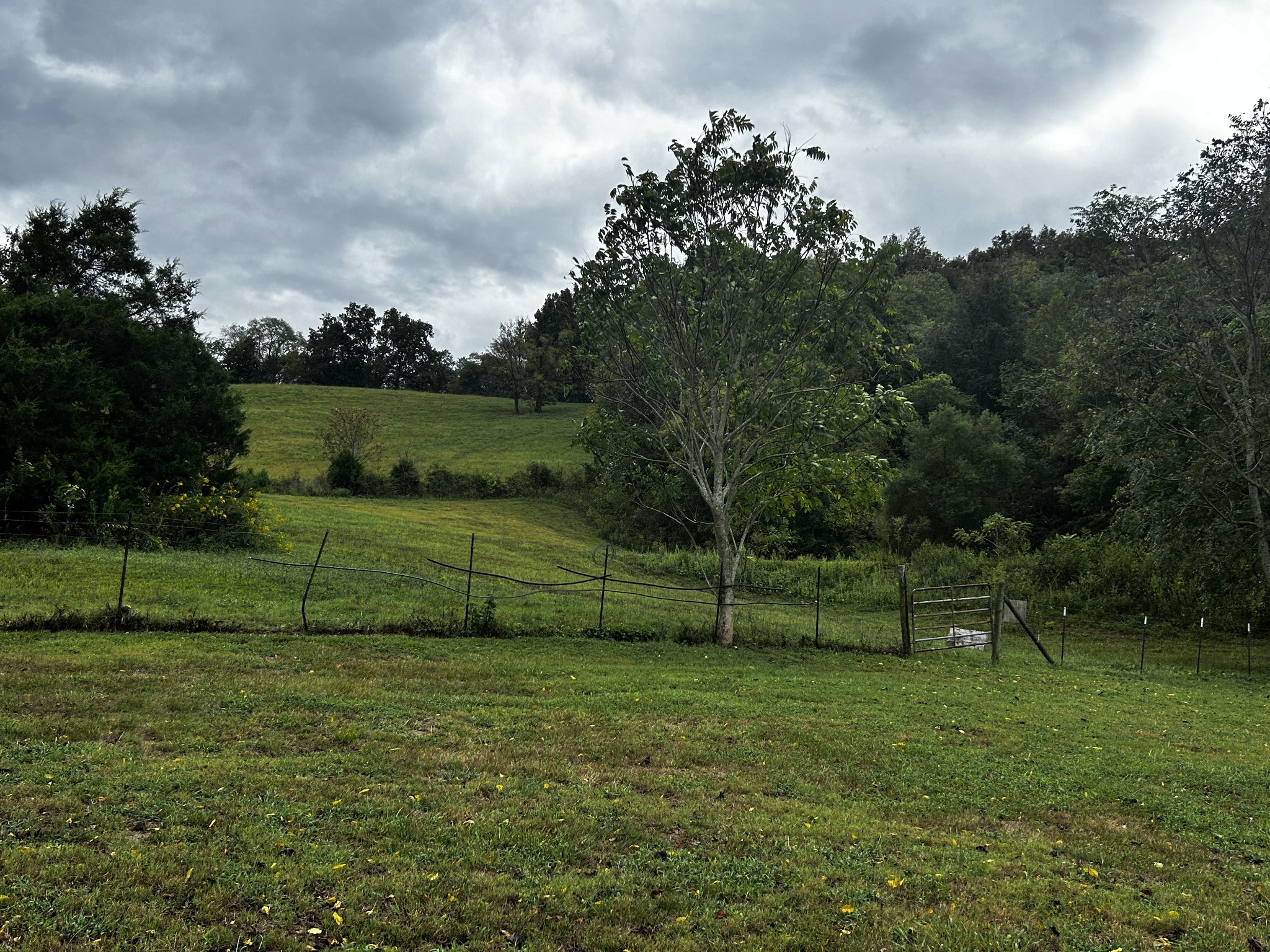 315 Loyd Road Pulaski, TN 38478 - Photo 35 of 73 a view of a park