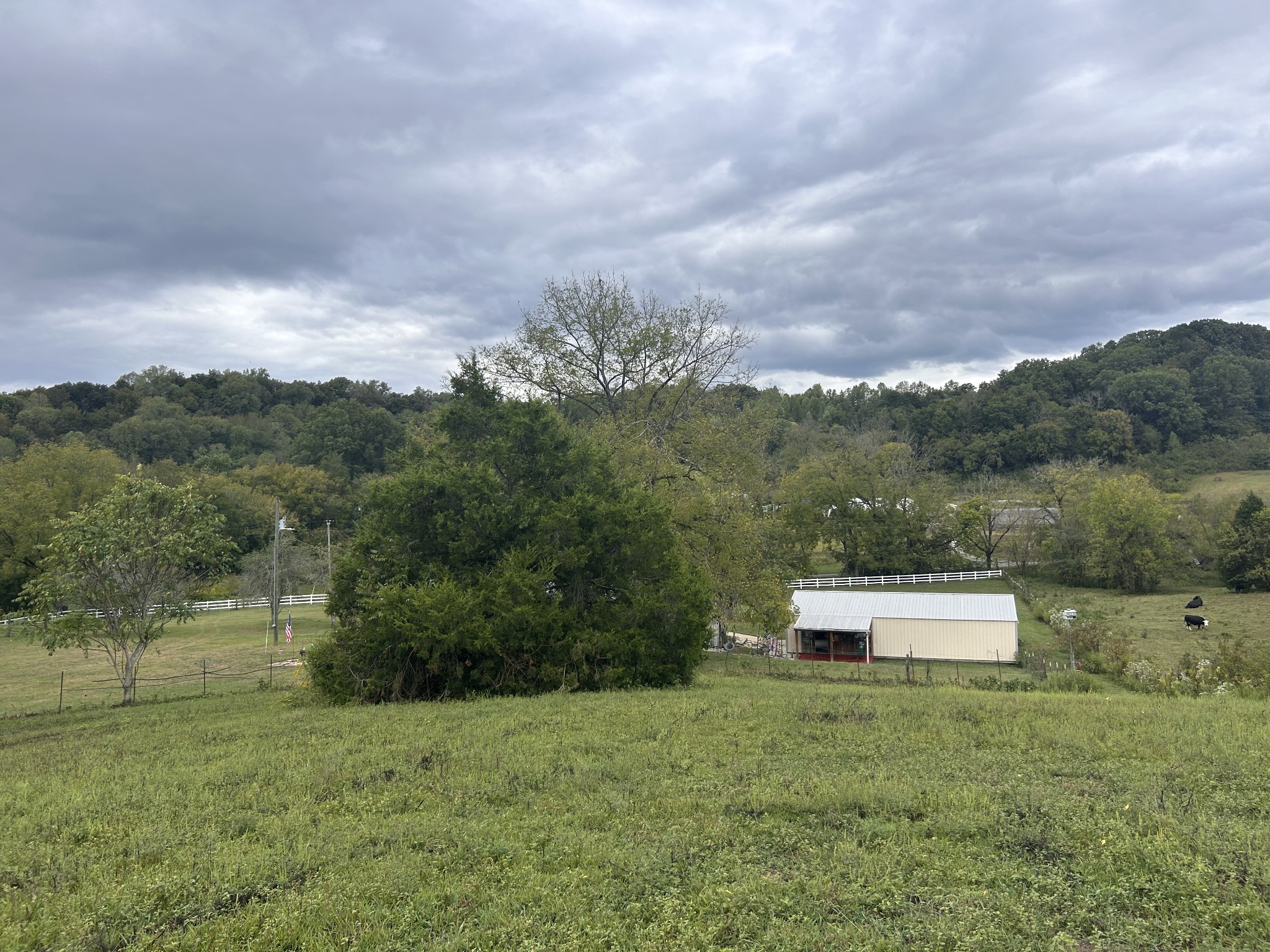 315 Loyd Road Pulaski, TN 38478 - Photo 6 of 73