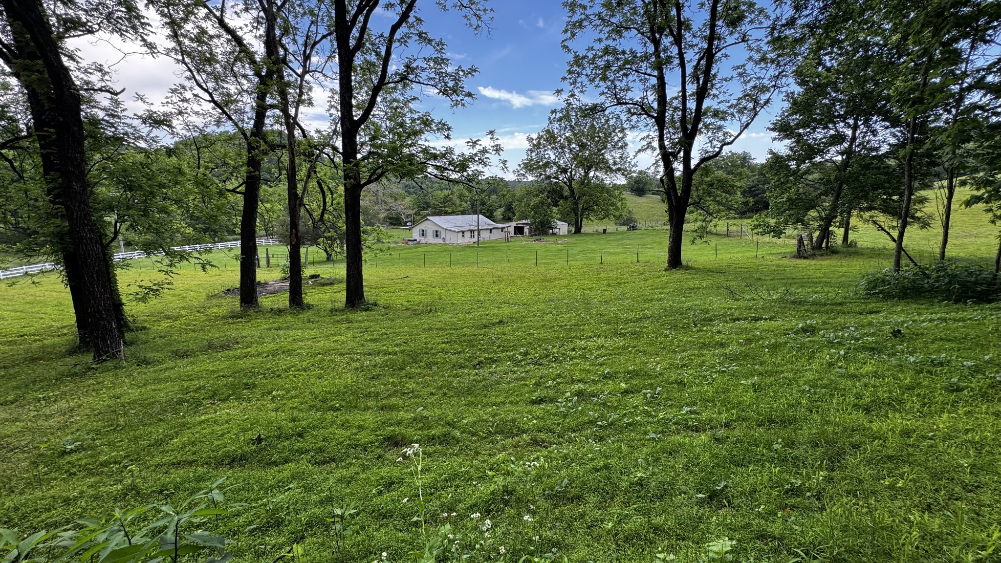 315 Loyd Road Pulaski, TN 38478 - Photo 64 of 73 a view of green field with trees