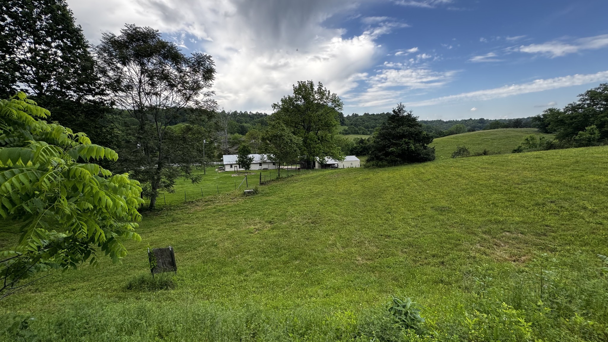 315 Loyd Road Pulaski, TN 38478 - Photo 65 of 73