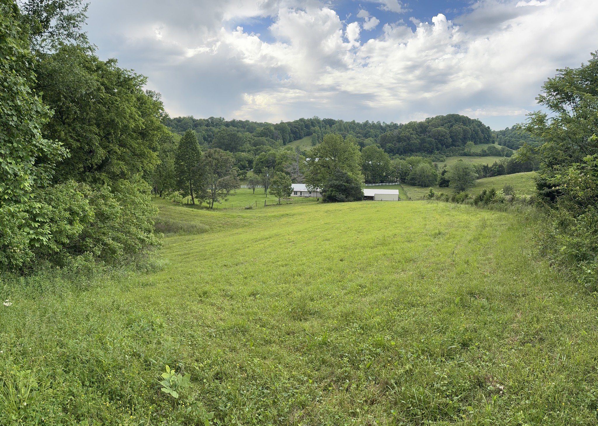 315 Loyd Road Pulaski, TN 38478 - Photo 66 of 73 a view of a big yard with lots of green space