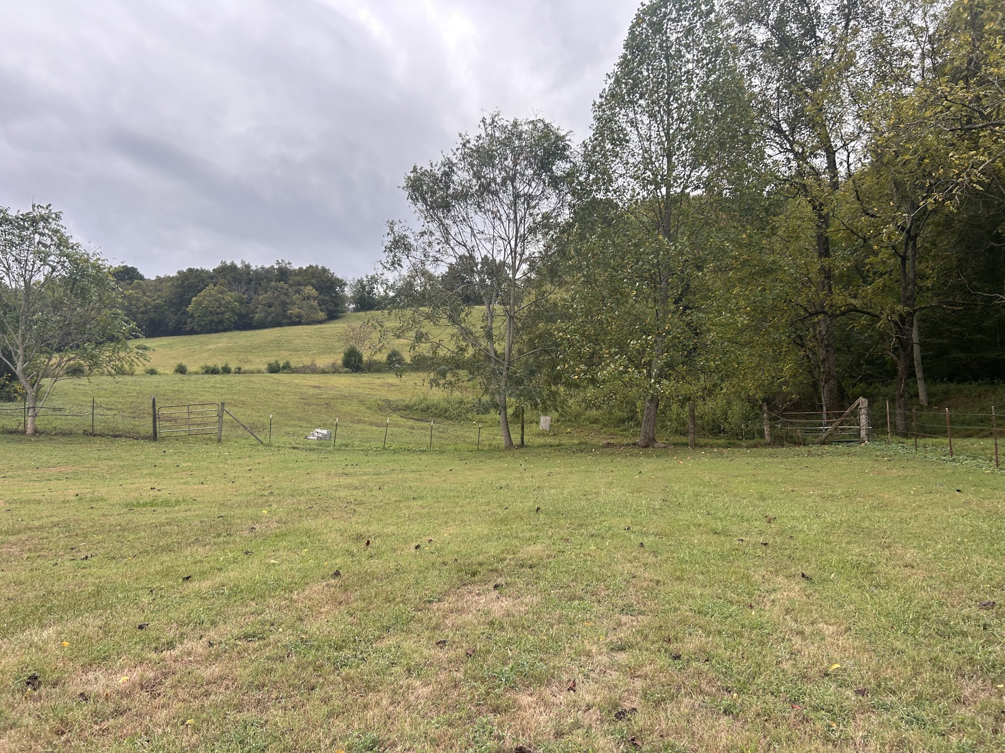 315 Loyd Road Pulaski, TN 38478 - Photo 7 of 73 a view of a field with an outdoor space