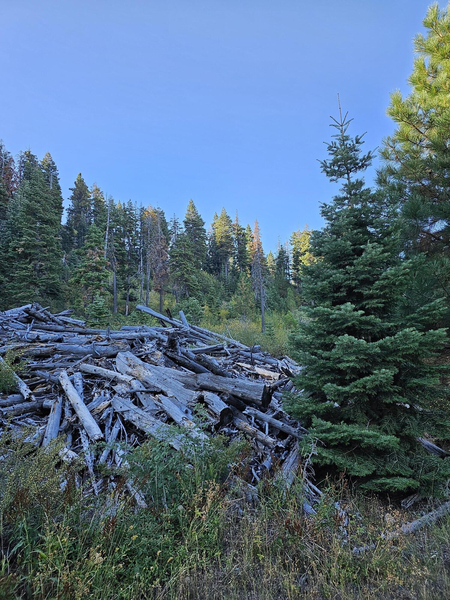 0 Undertimined Lakeview, OR 97630 - Photo 5 of 6 20230920_092213
