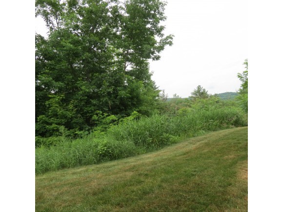 74 Spaulding Road, Unit I1 Cavendish, VT 05153 - Photo 30 of 34