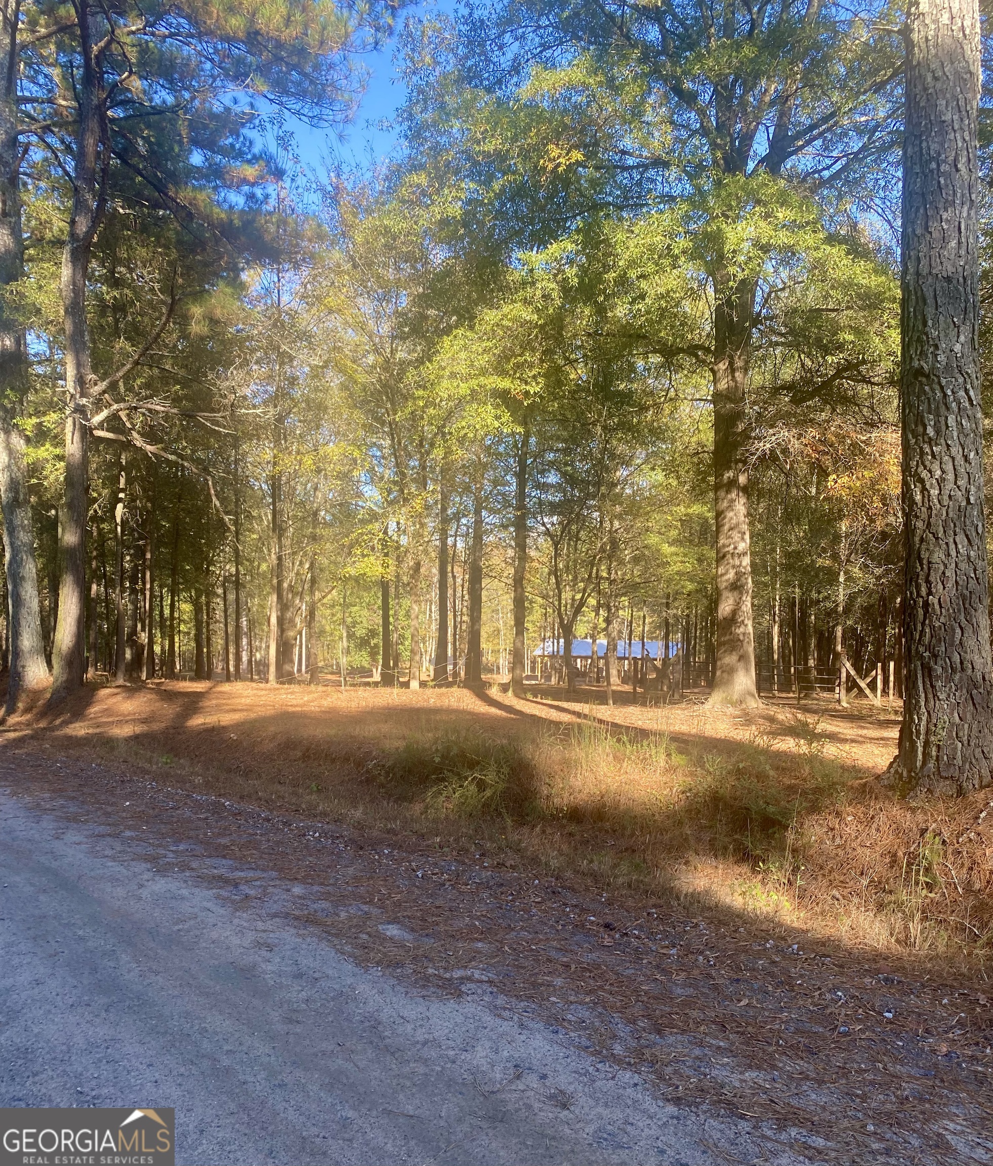 1741 Bartons Bridge Road Monroe, GA 30655 - Photo 1 of 1 a view of large trees with a yard