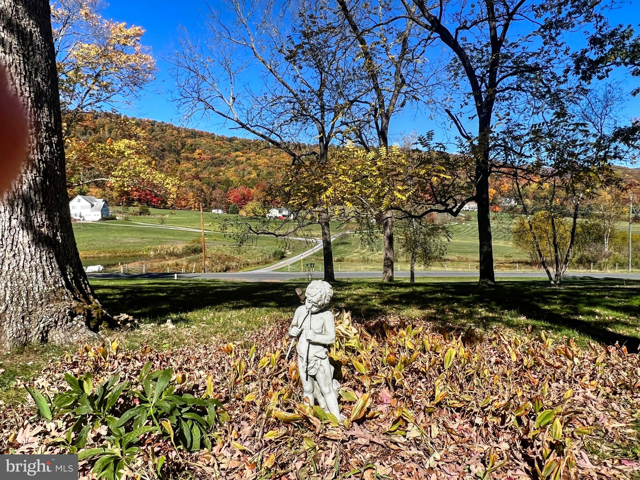 618 Miller Road Edinburg, VA 22824 - Photo 4 of 39 Beautiful views