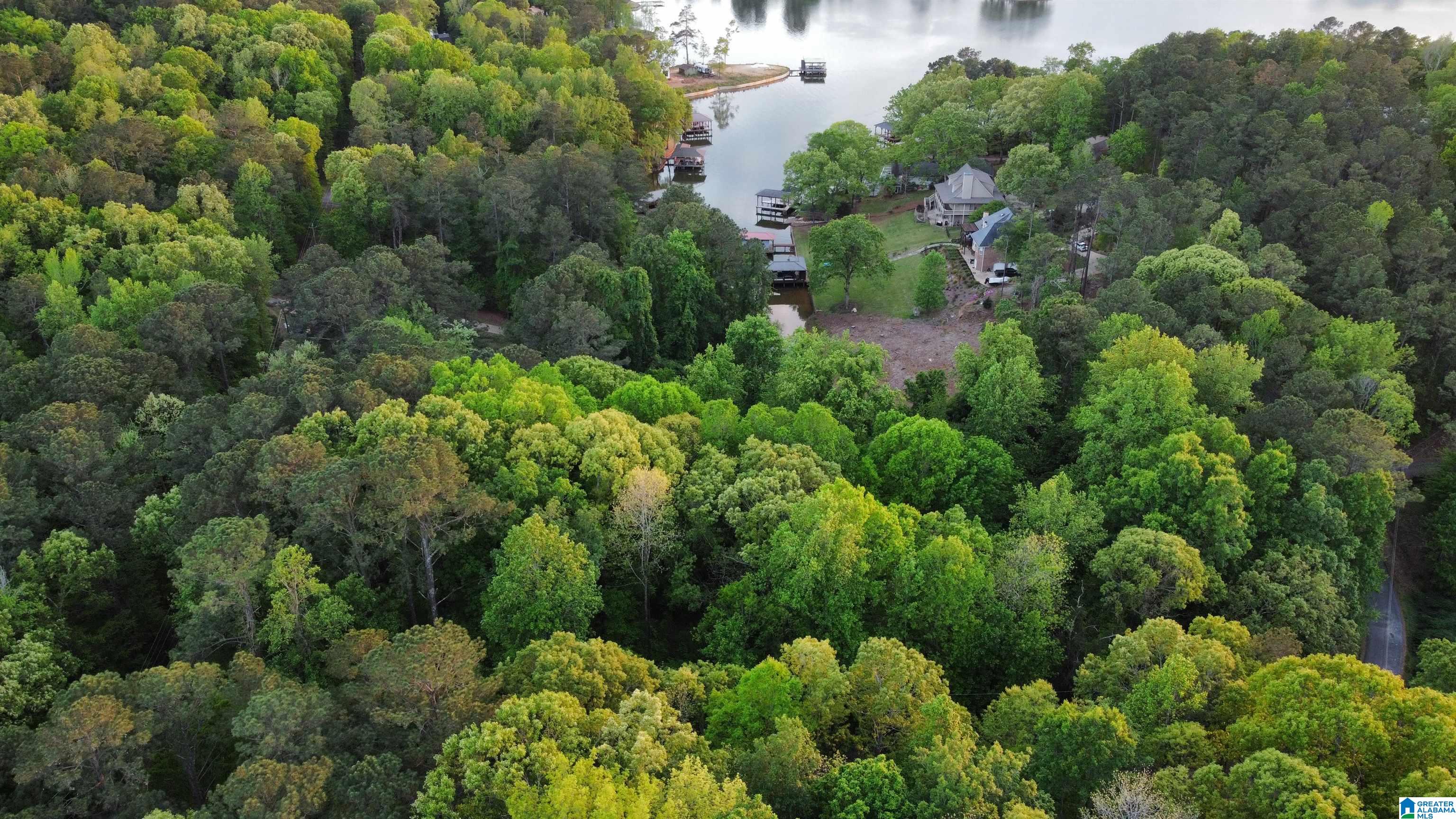 Lakeview Drive, Unit 53 Alpine, AL 35014 - Photo 14 of 35
