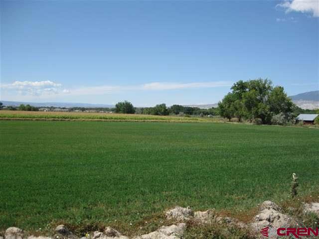 Tbd Tbd 1725th Road Delta, CO 81416 - Photo 13 of 13