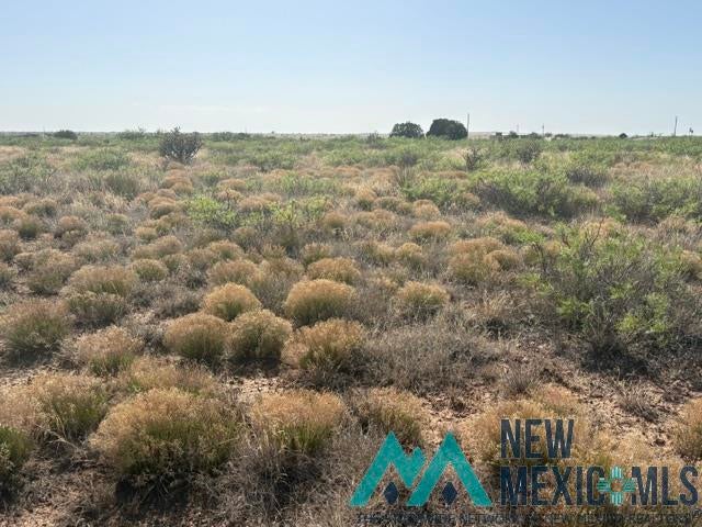 48 State Road 203 Fort Sumner, NM 88119 - Photo 1 of 17 Gallery Image 1