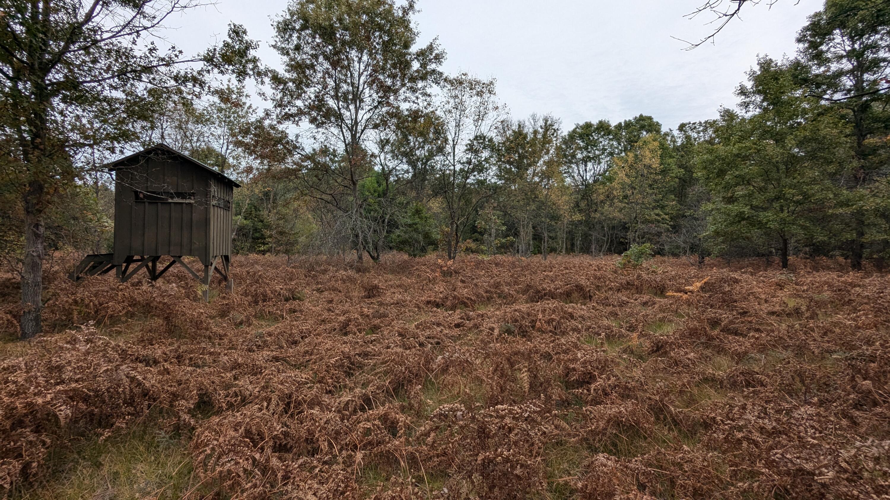 22268 Jefferson Road Morley, MI 49336 - Photo 8 of 11 Elevated Deer Blind