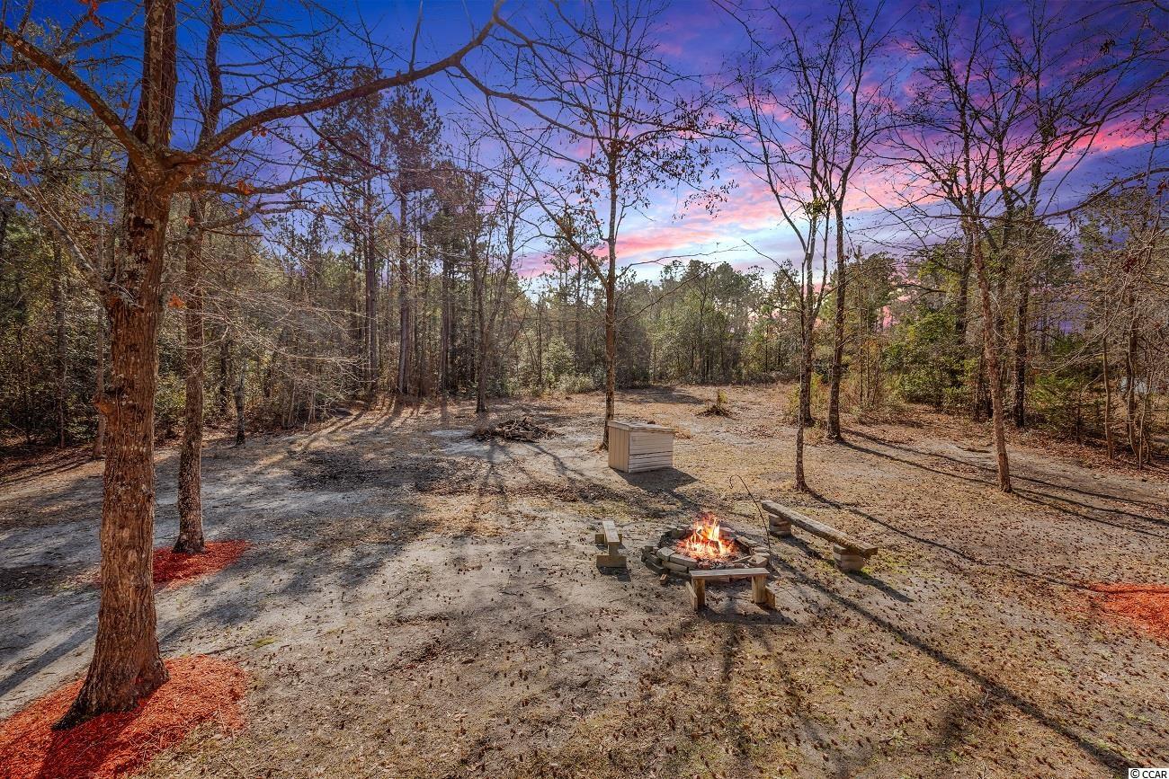 7120 Hucks Road Conway, SC 29526 - Photo 31 of 39 Gallery Image 31