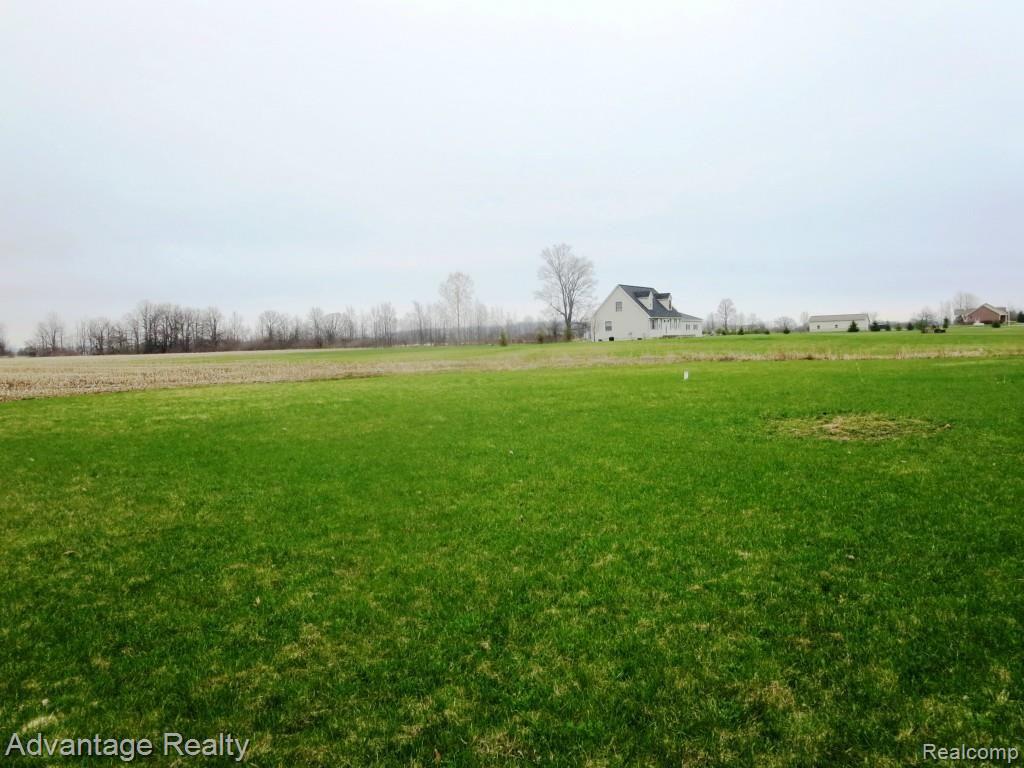 13136 Hill Road Memphis, MI 48041 - Photo 5 of 29 IMG_0625.jpg
