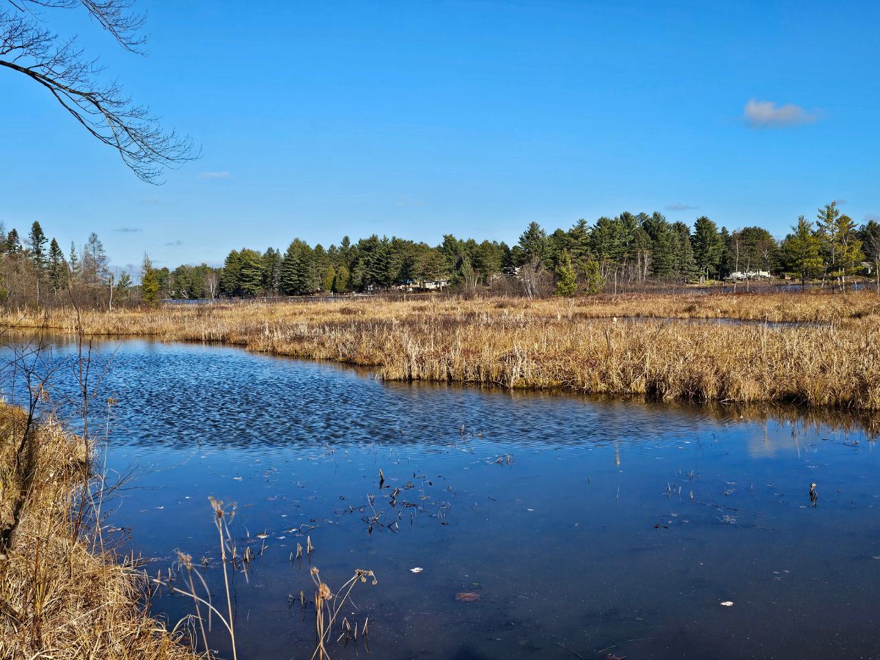 N10228 South Pine Road Tomahawk, WI 54487 - Photo 2 of 31 Gallery Image 2