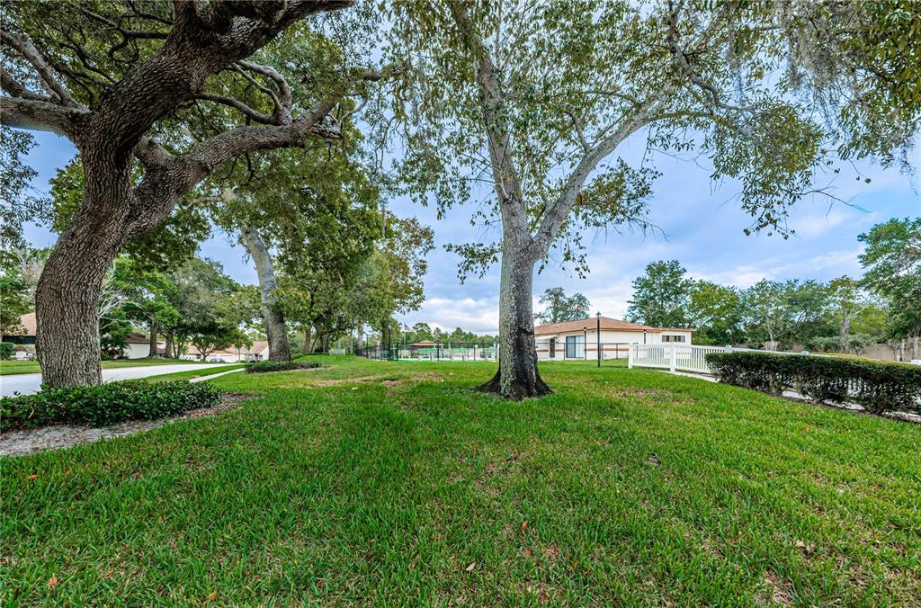 11717 Spring Tree Lane Port Richey, FL 34668 - Photo 39 of 42 Gallery Image 39