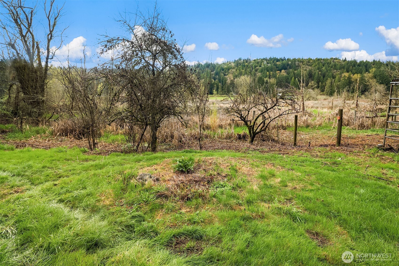 17420 Renton Issaquah Road Southeast Renton, WA 98059 - Photo 12 of 14