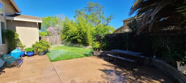 a view of a backyard with palm trees