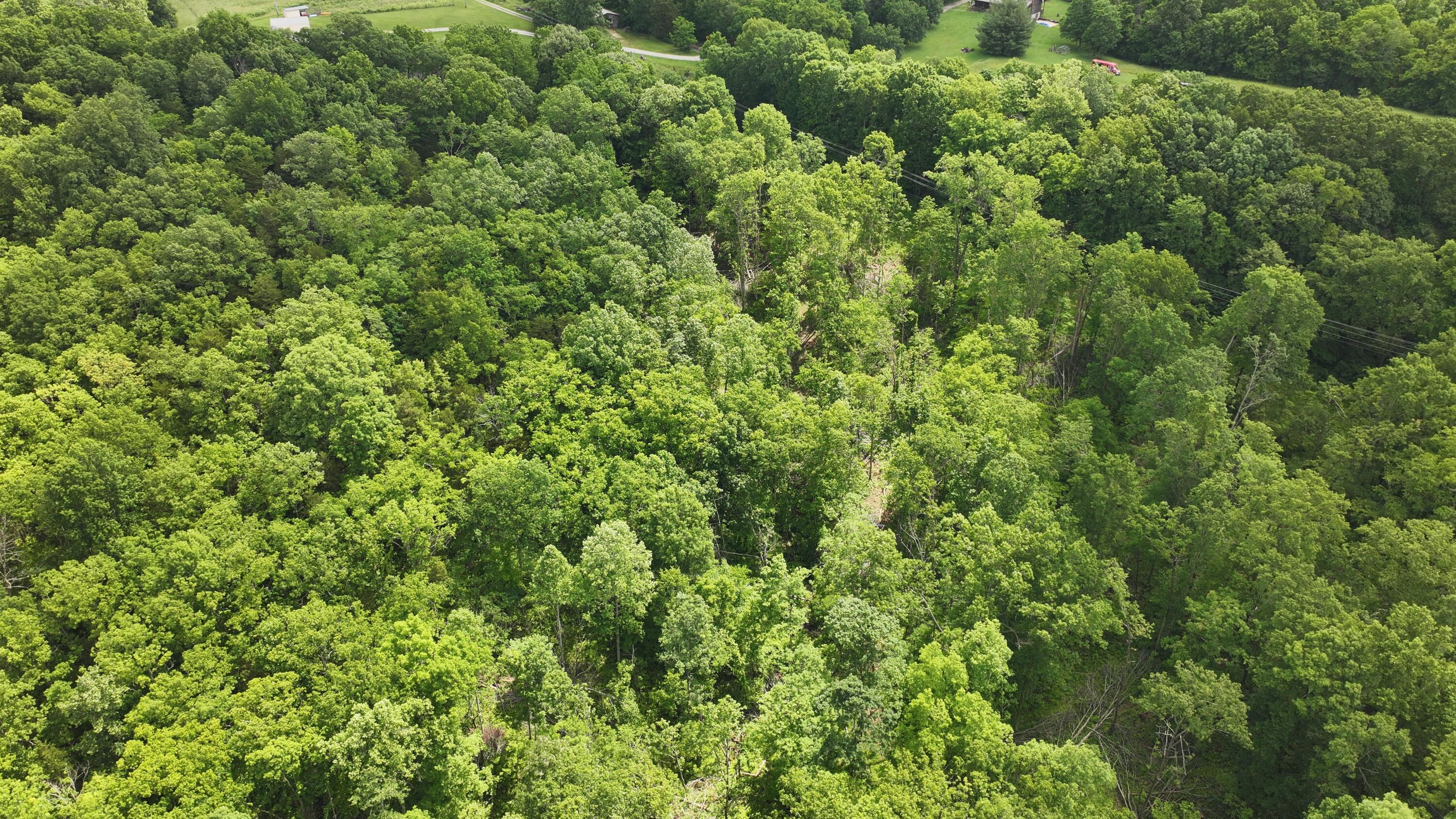 3990 Claxon Ridge Road Owenton, KY 40359 - Photo 12 of 19