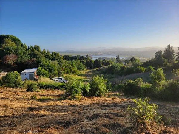 a view of a lake and a yard