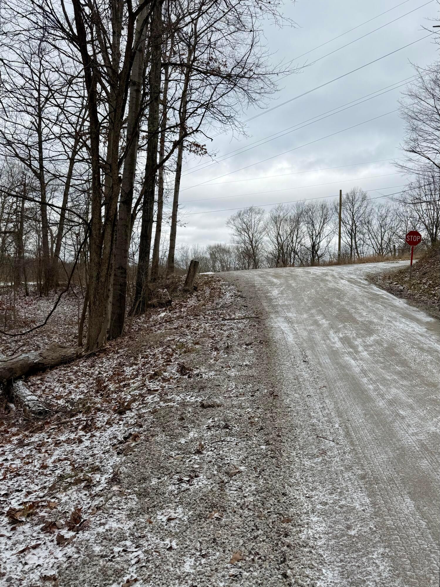 0 Sealover Hollow Road Philo, OH 43771 - Photo 14 of 26 IMG_1975