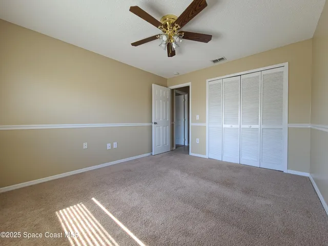a view of backyard with a large trees