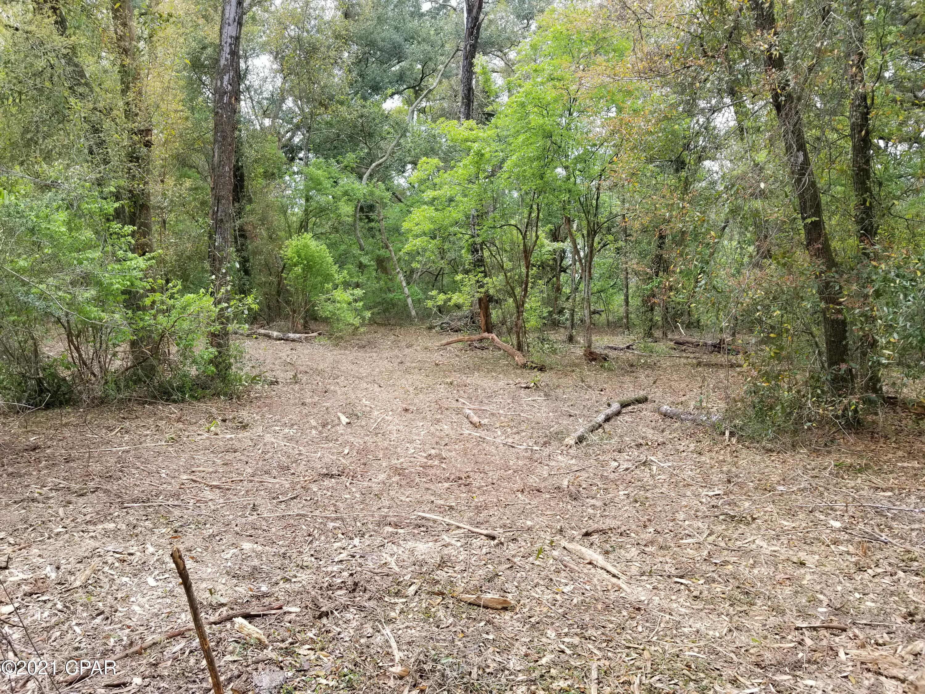 Gallery Image 6
