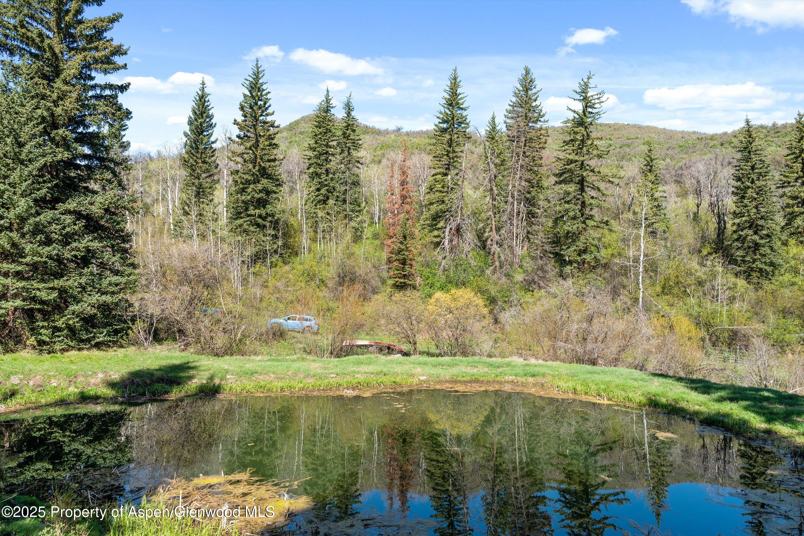 0 East Divide Creek Road New Castle, CO 81647 - Photo 12 of 45 01-0EDivideCreekRd_25052204