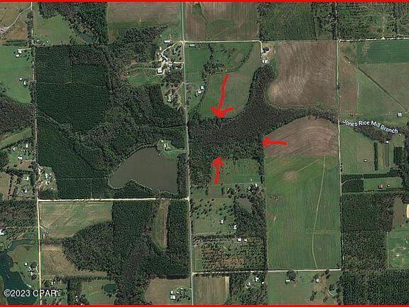 1502 Piney Grove Road Chipley, FL 32428 - Photo 5 of 11