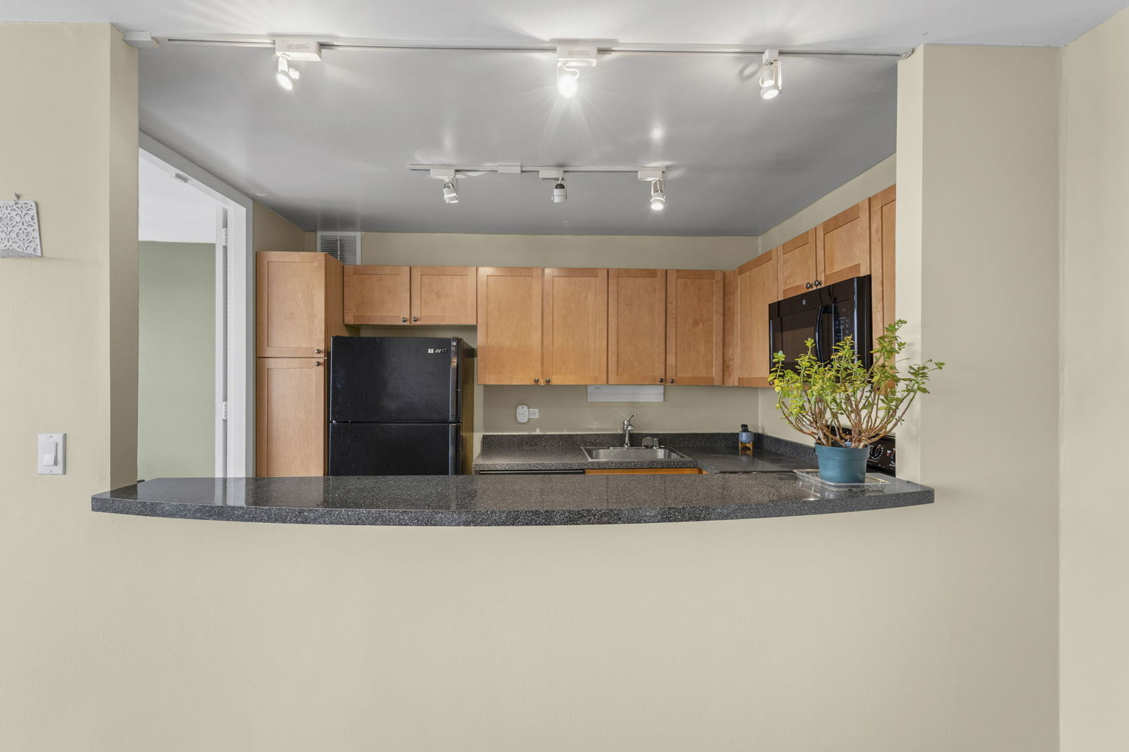 655 West Irving Park Road, Unit 2403 Chicago, IL 60613 - Photo 7 of 21 Gallery Image 7