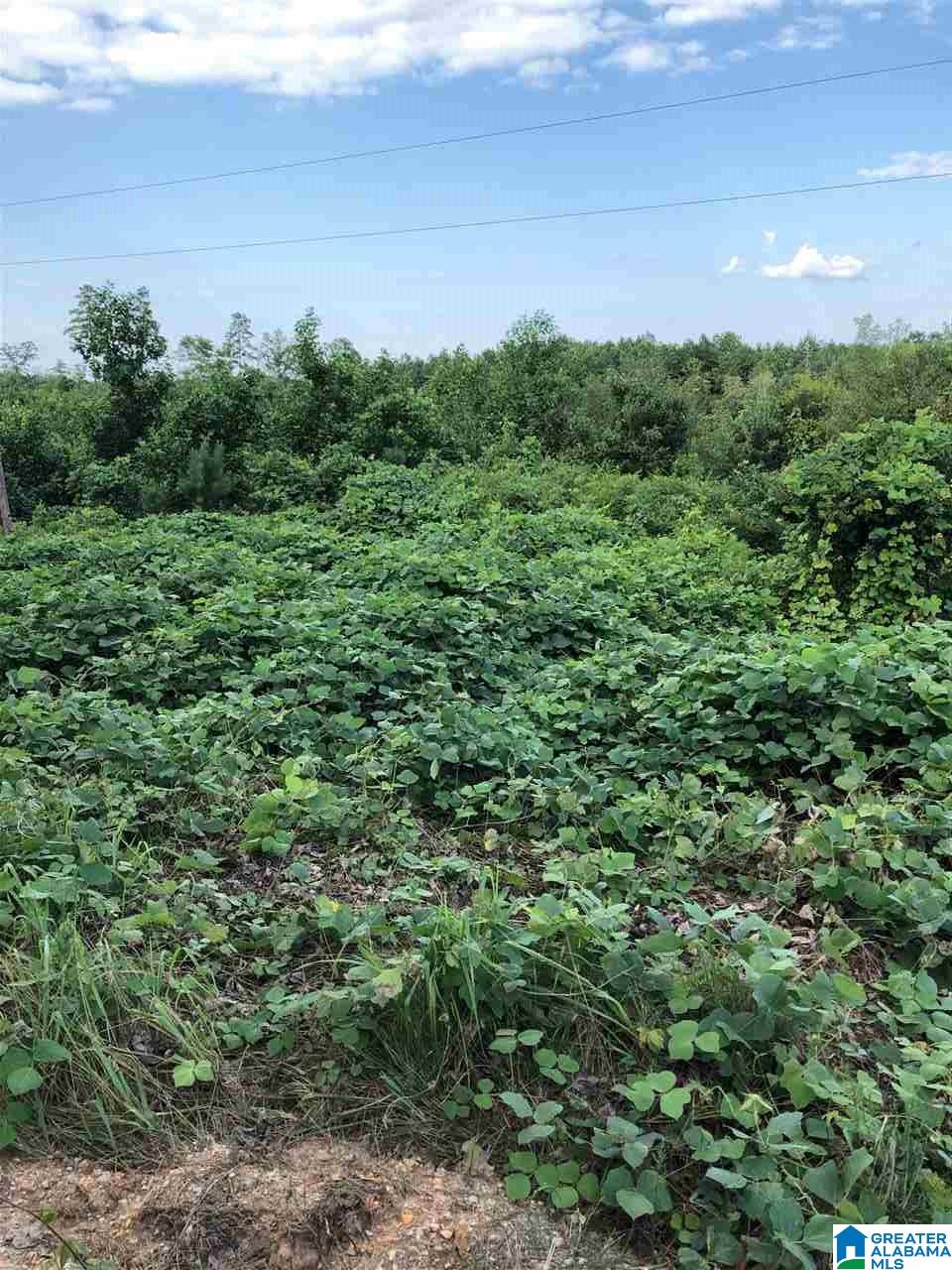 0 County Road 61, Unit 366 92 ACRES Fruithurst, AL 36262 - Photo 24 of 26