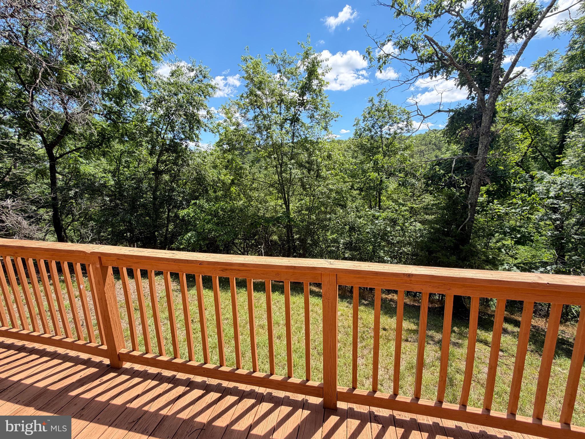 511 Chickadee Road Purgitsville, WV 26852 - Photo 69 of 99