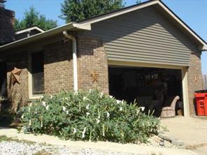 8736 West S R 42 Monrovia, IN 46157 - Photo 11 of 16 Gallery Image 11