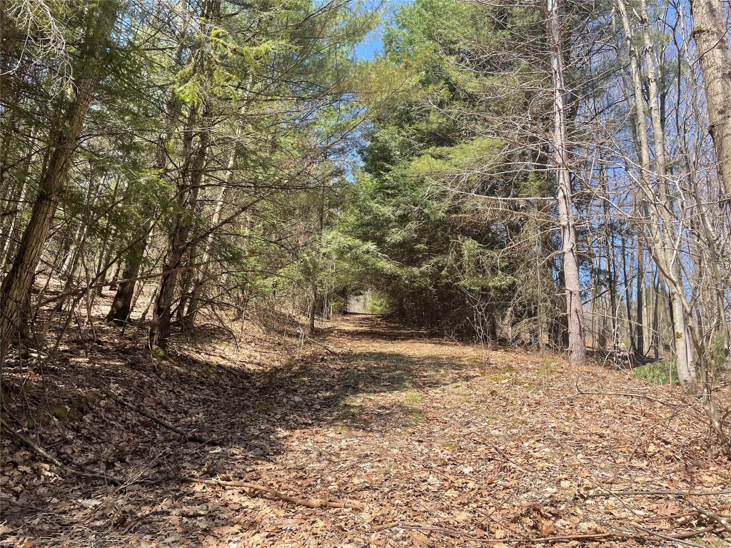 100 Dunbar Road Deposit, NY 13754 - Photo 1 of 12 Gallery Image 1