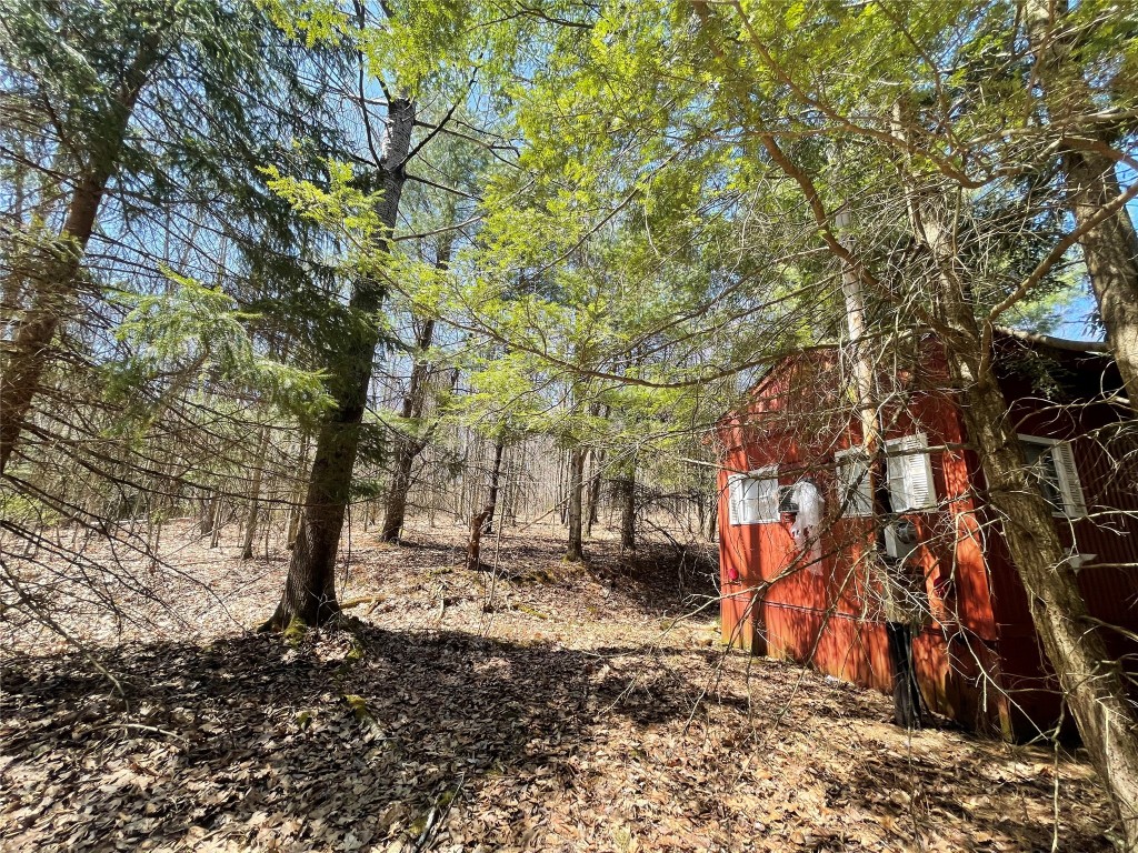 100 Dunbar Road Deposit, NY 13754 - Photo 11 of 12 Gallery Image 11